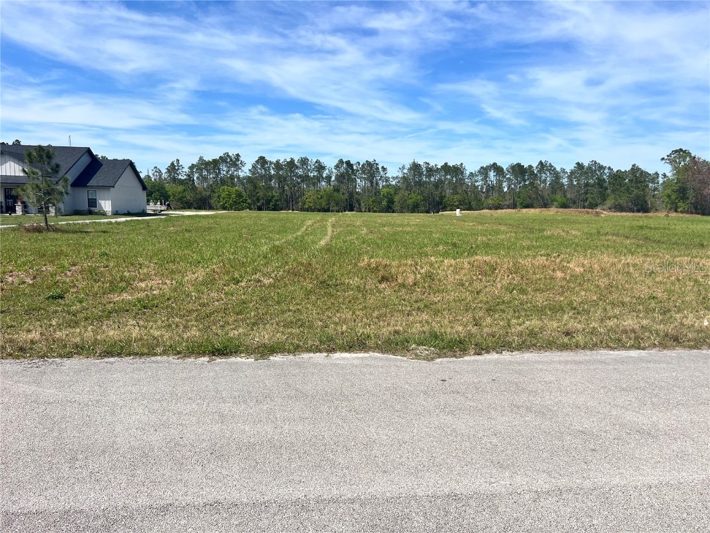 Brooke Lakes Drive Fort Meade FL 33841 P4929614 image1