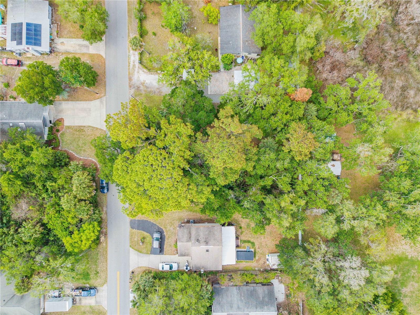 Brookline Avenue New Smyrna Beach FL 32168 NS1087876 image6