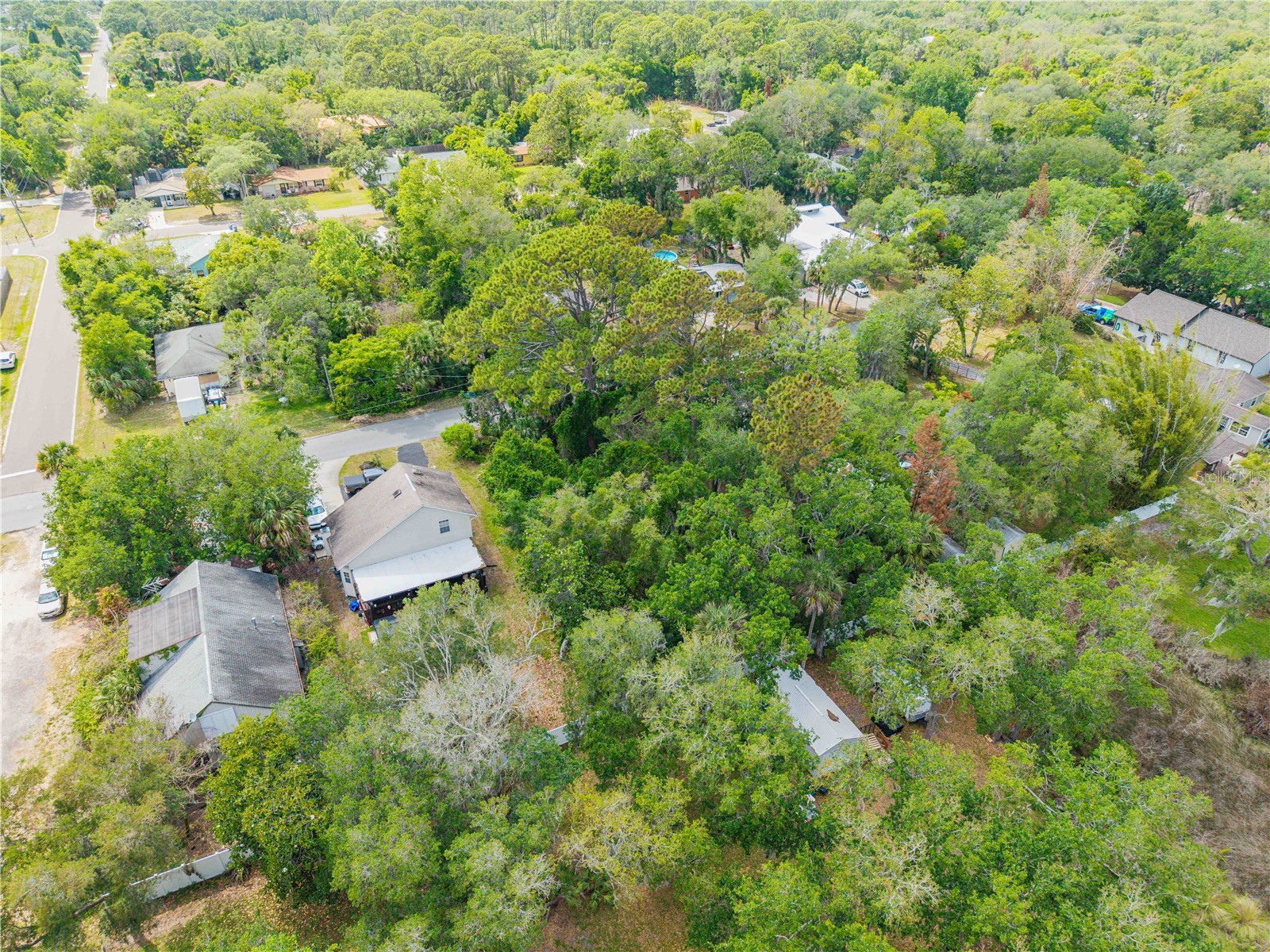 Brookline Avenue New Smyrna Beach FL 32168 NS1087876 image8