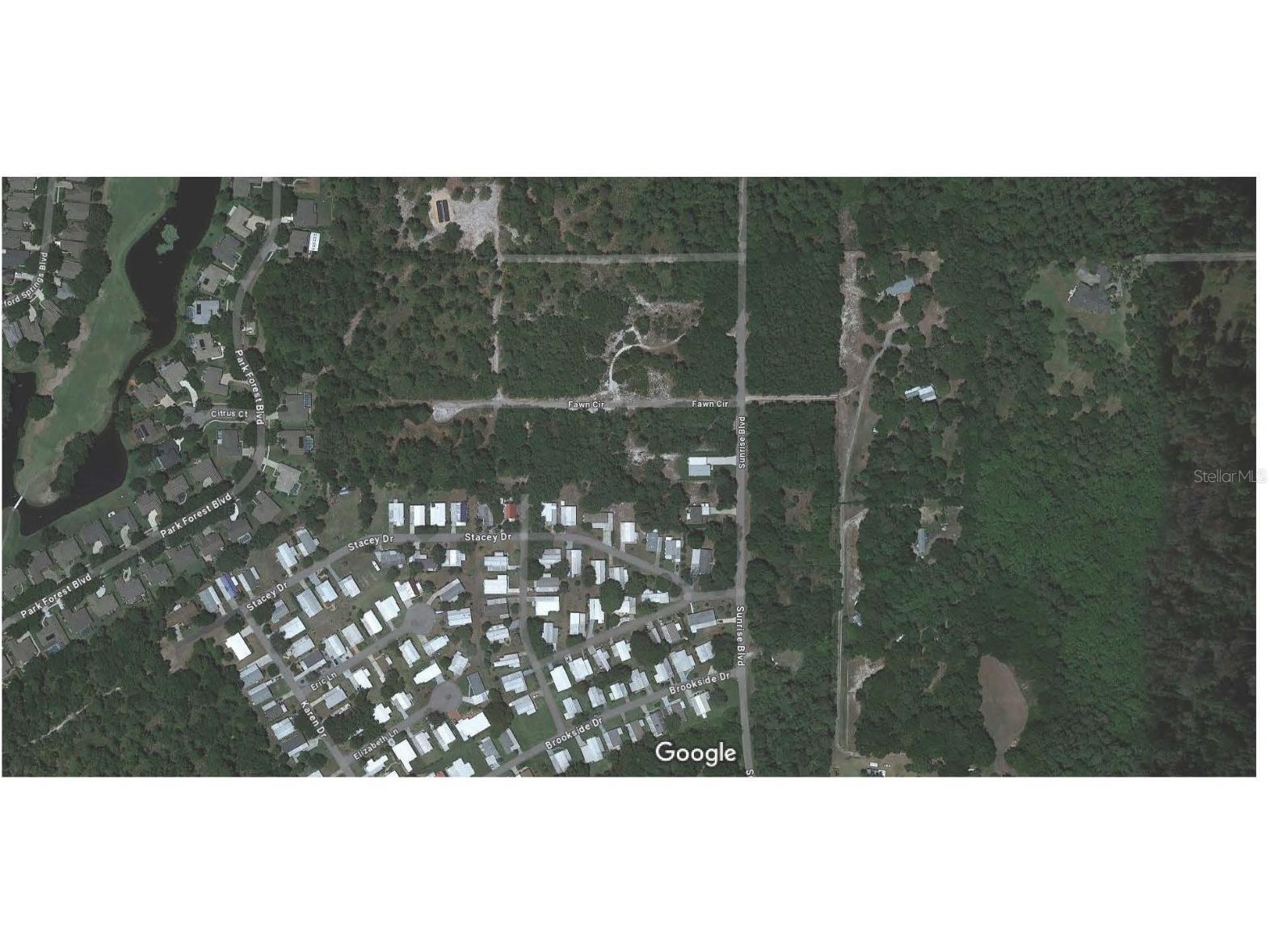 Brookside Circle Mount Dora FL 32757 G5081024 image1