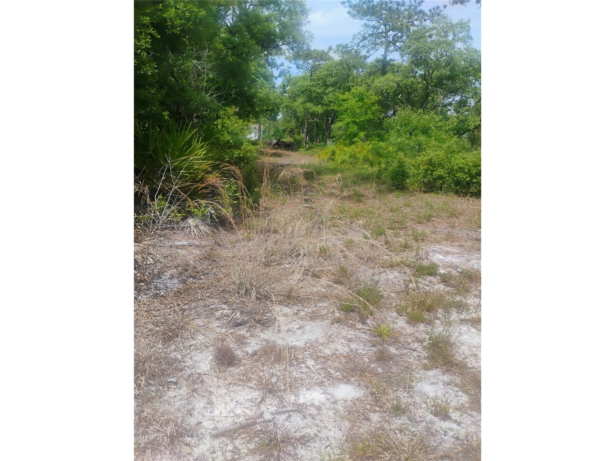 Brookside Circle Mount Dora FL 32757 G5111266 image1