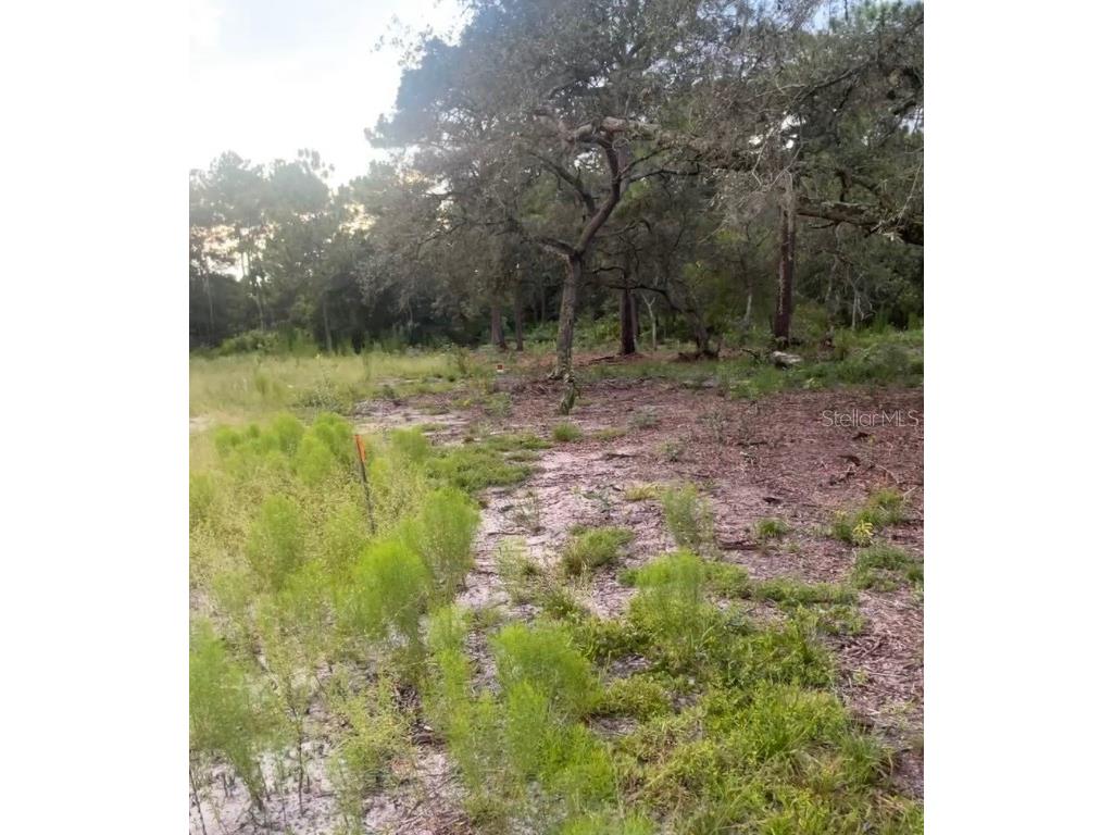 Brookside Circle Mount Dora FL 32757 O6366030 image2