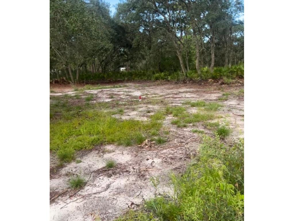 Brookside Circle Mount Dora FL 32757 O6366030 image3