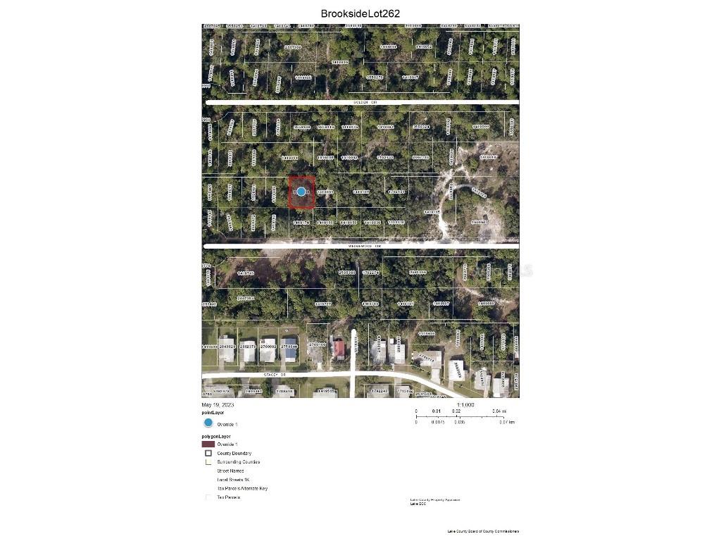 Brookside Lot 262 Circle Mount Dora FL 32757 G5069000 image1