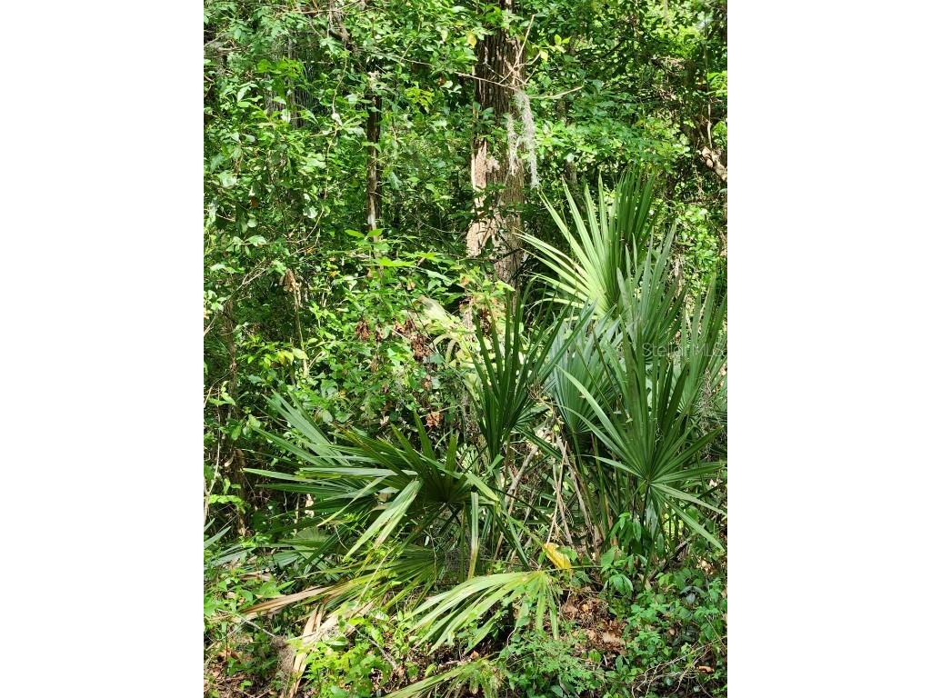  Brooksville FL 34601 T3440135 image1