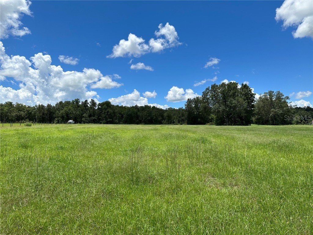  Brooksville FL 34602 W7855472 image1