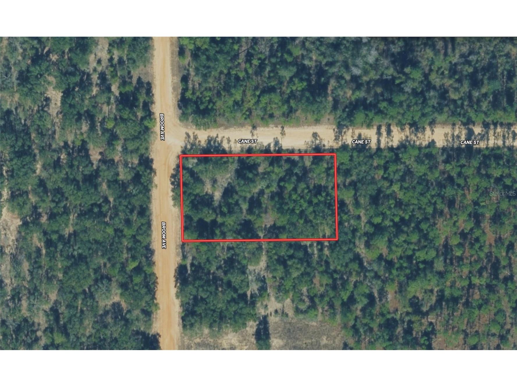 Broom Avenue Marianna FL 32448 TB8525646 image1