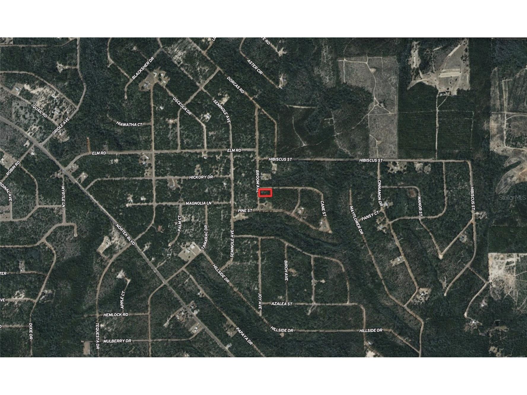 Broom Avenue Marianna FL 32448 TB8525646 image3