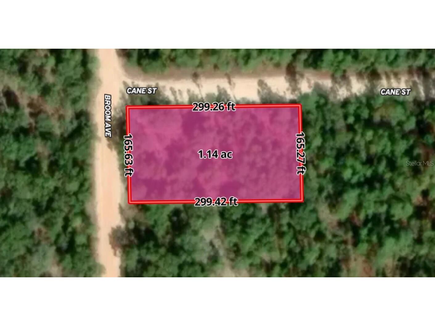 Broom Avenue Marianna FL 32448 TB8525646 image4