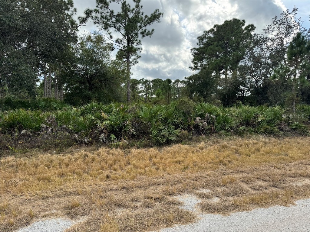 Broward Avenue North Port FL 34291 C7518986 image1
