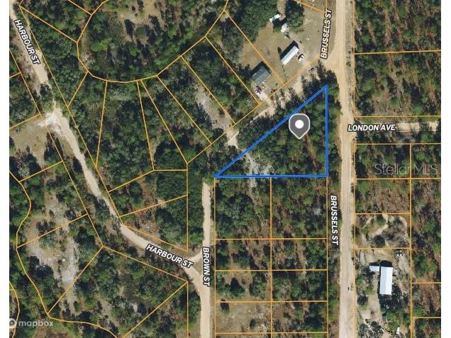 Brown St Interlachen FL 32148 O6231906 image1