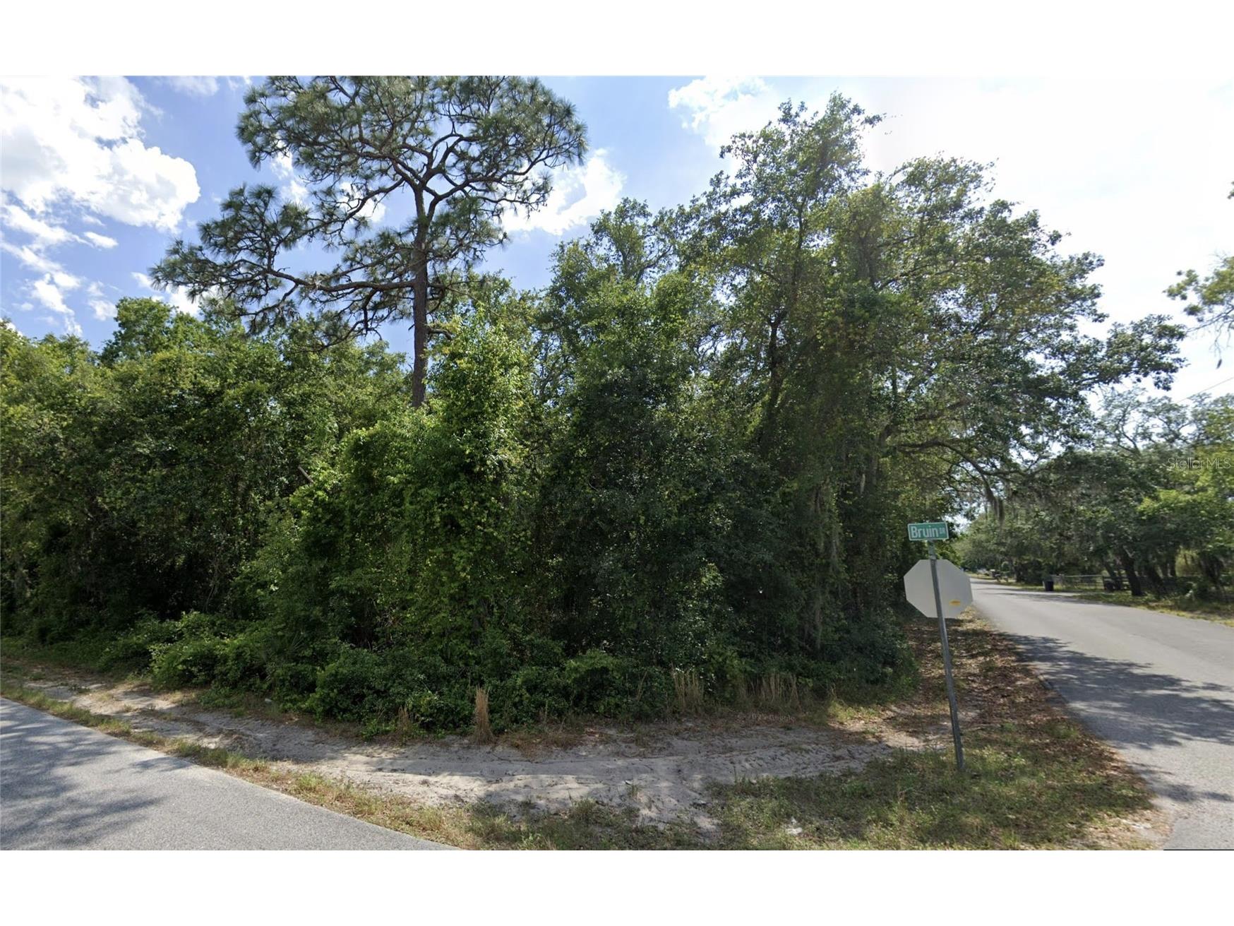 Bruin Dr New Port Richey FL 34654 TB8463619 image1