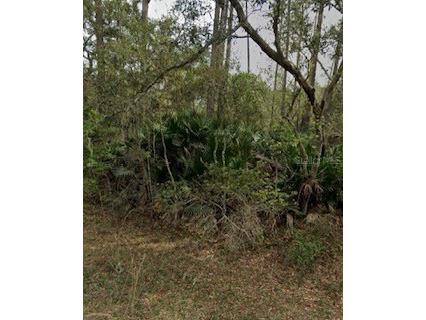 Brush Street Interlachen FL 32148 A4665586 image1