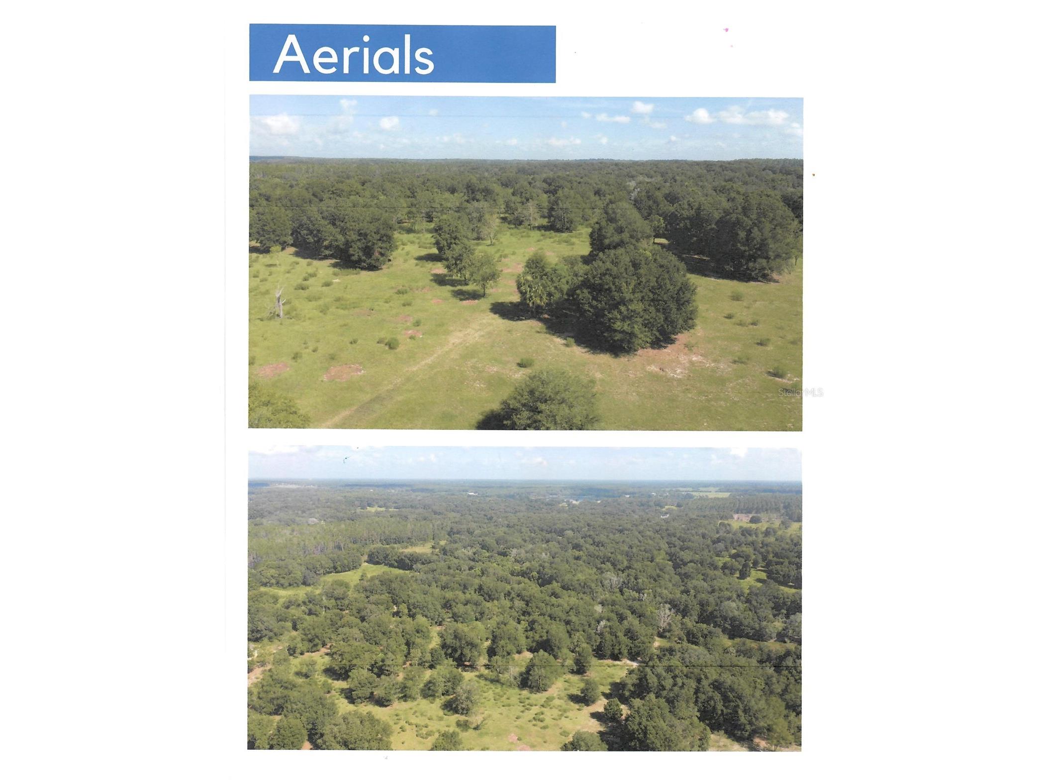 Hwy 44 Eustis FL 32726 O6380418 image1