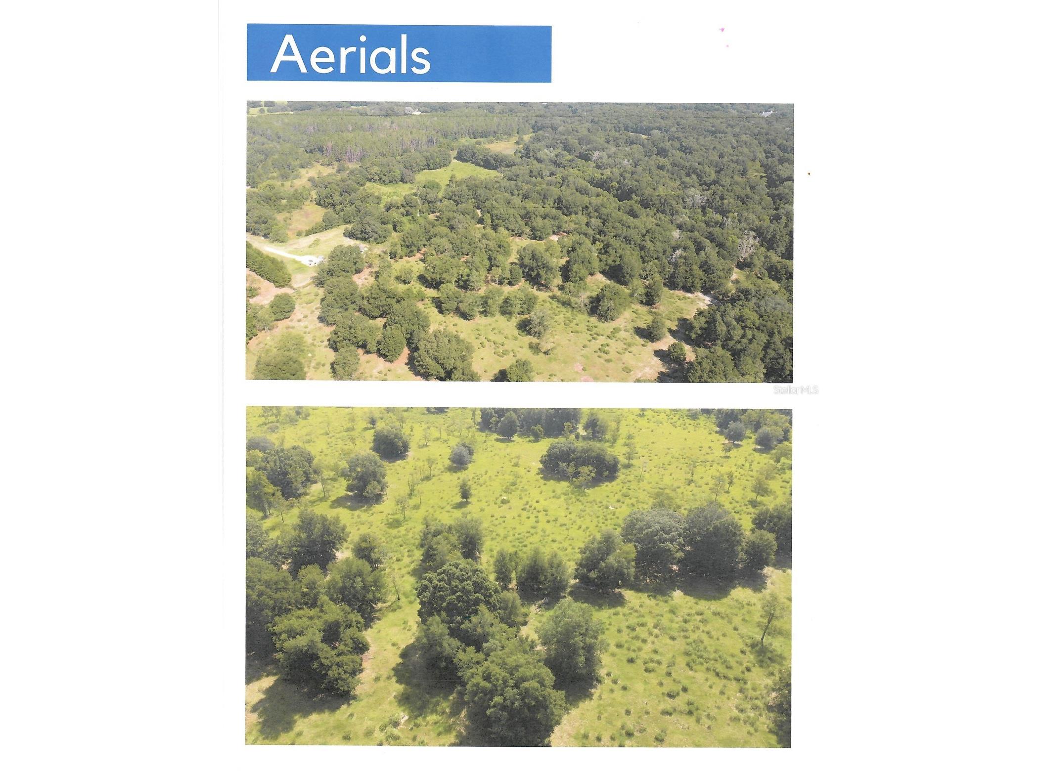 Hwy 44 Eustis FL 32726 O6380418 image2
