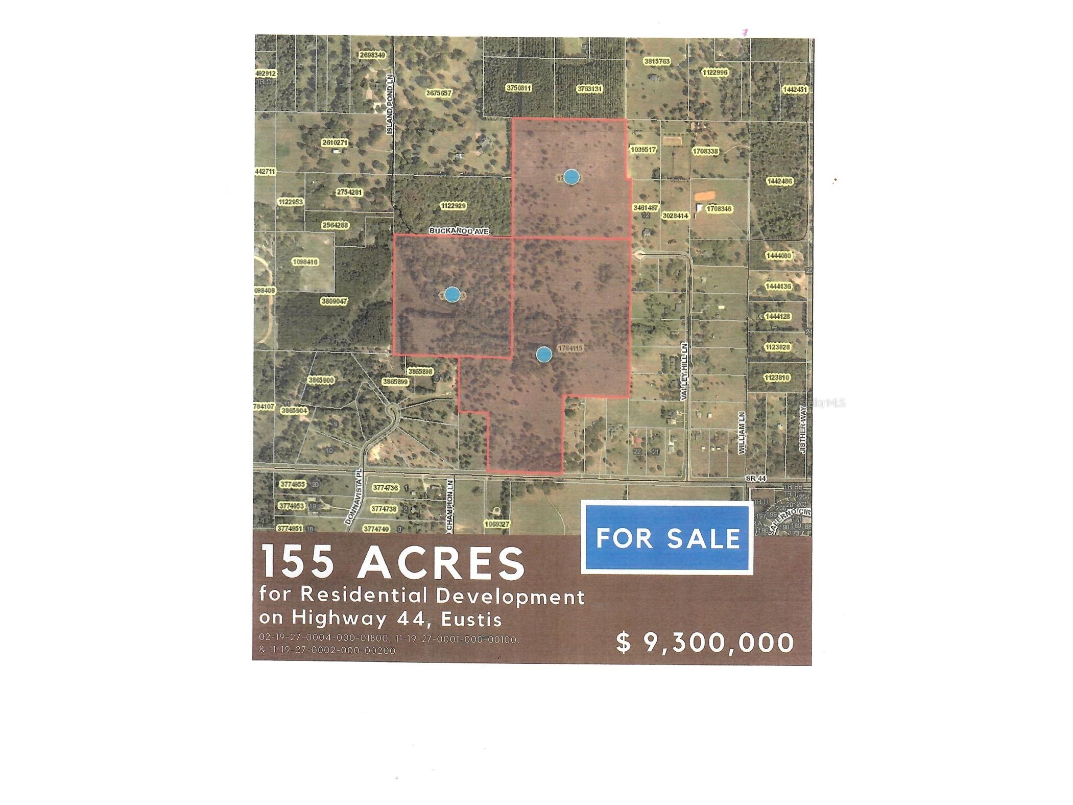 Hwy 44 Eustis FL 32726 O6380418 image3