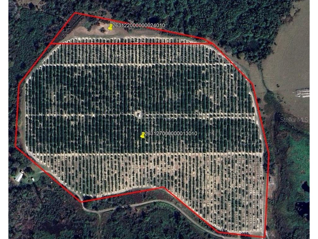 Buffum Church Road Fort Meade FL 33841 P4934901 image1