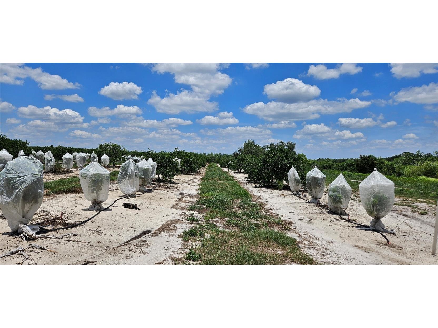 Buffum Church Road Fort Meade FL 33841 P4934901 image9