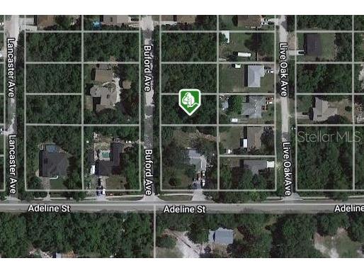 Buford Avenue Orange City FL 32763 O6108322 image1