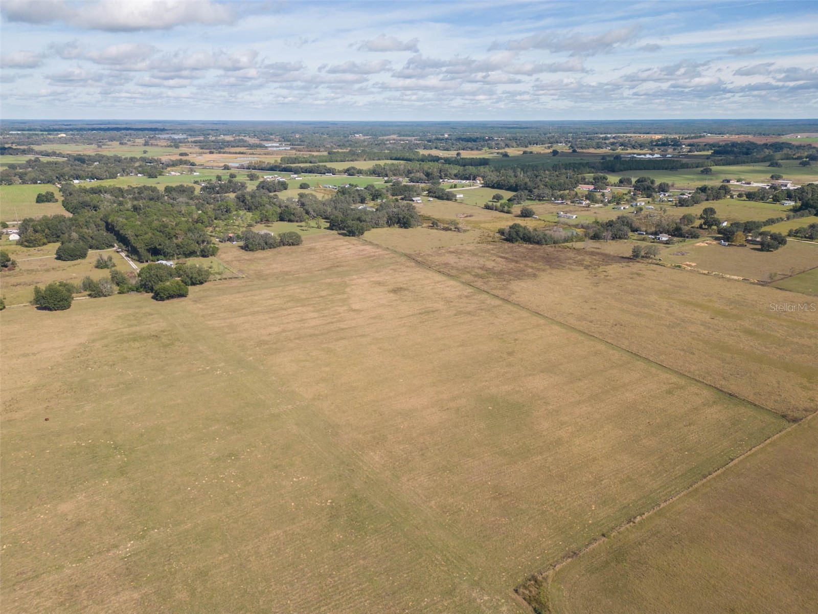 Bur Mac Road Dade City FL 33525 TB8462832 image14