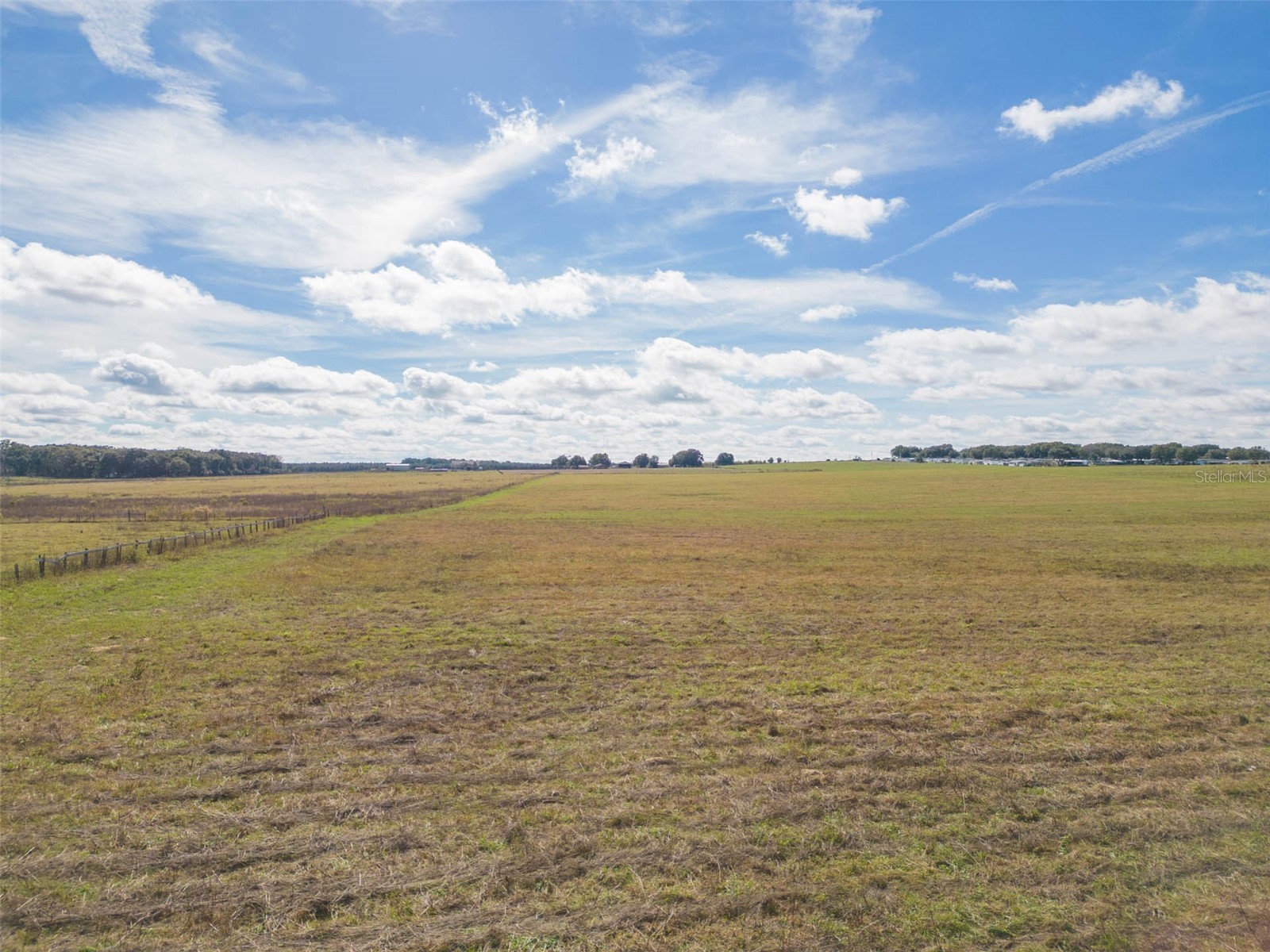 Bur Mac Road Dade City FL 33525 TB8462832 image15