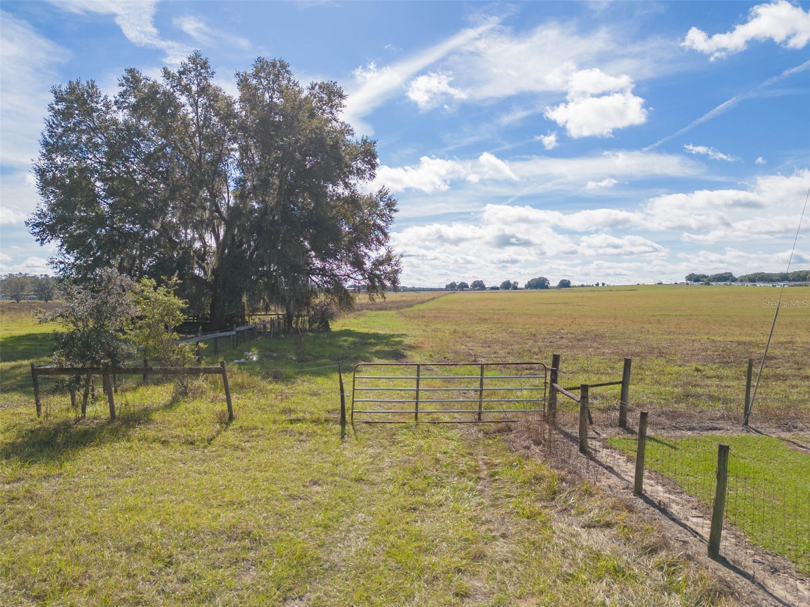 Bur Mac Road Dade City FL 33525 TB8462832 image16