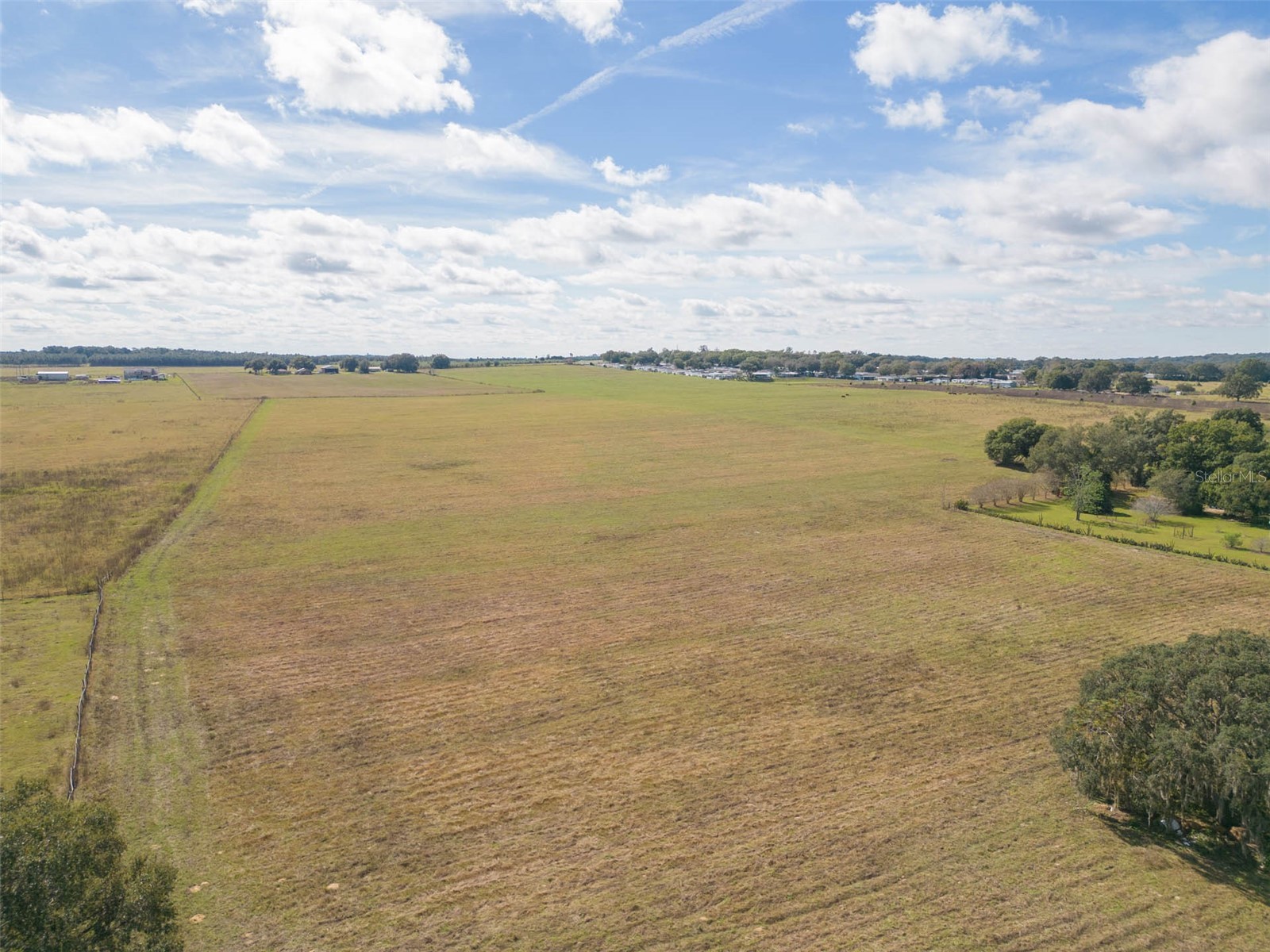 Bur Mac Road Dade City FL 33525 TB8462832 image17