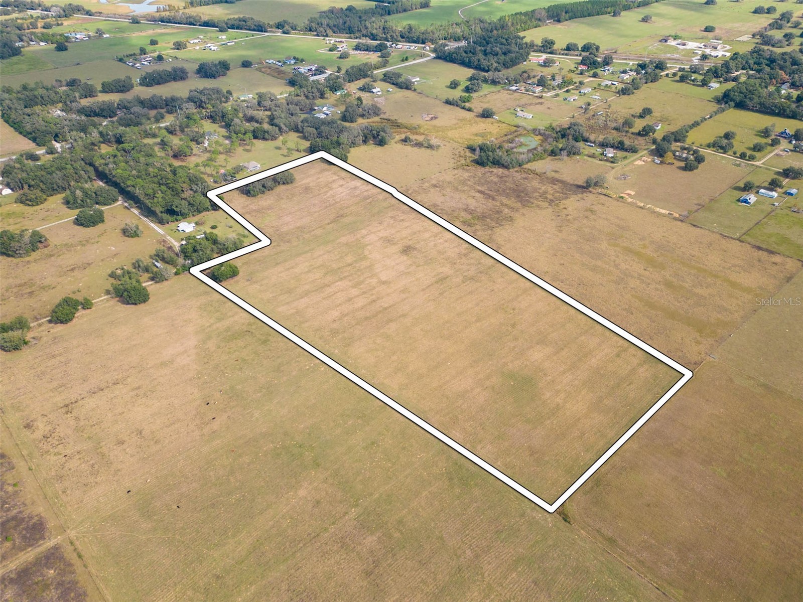 Bur Mac Road Dade City FL 33525 TB8462832 image7