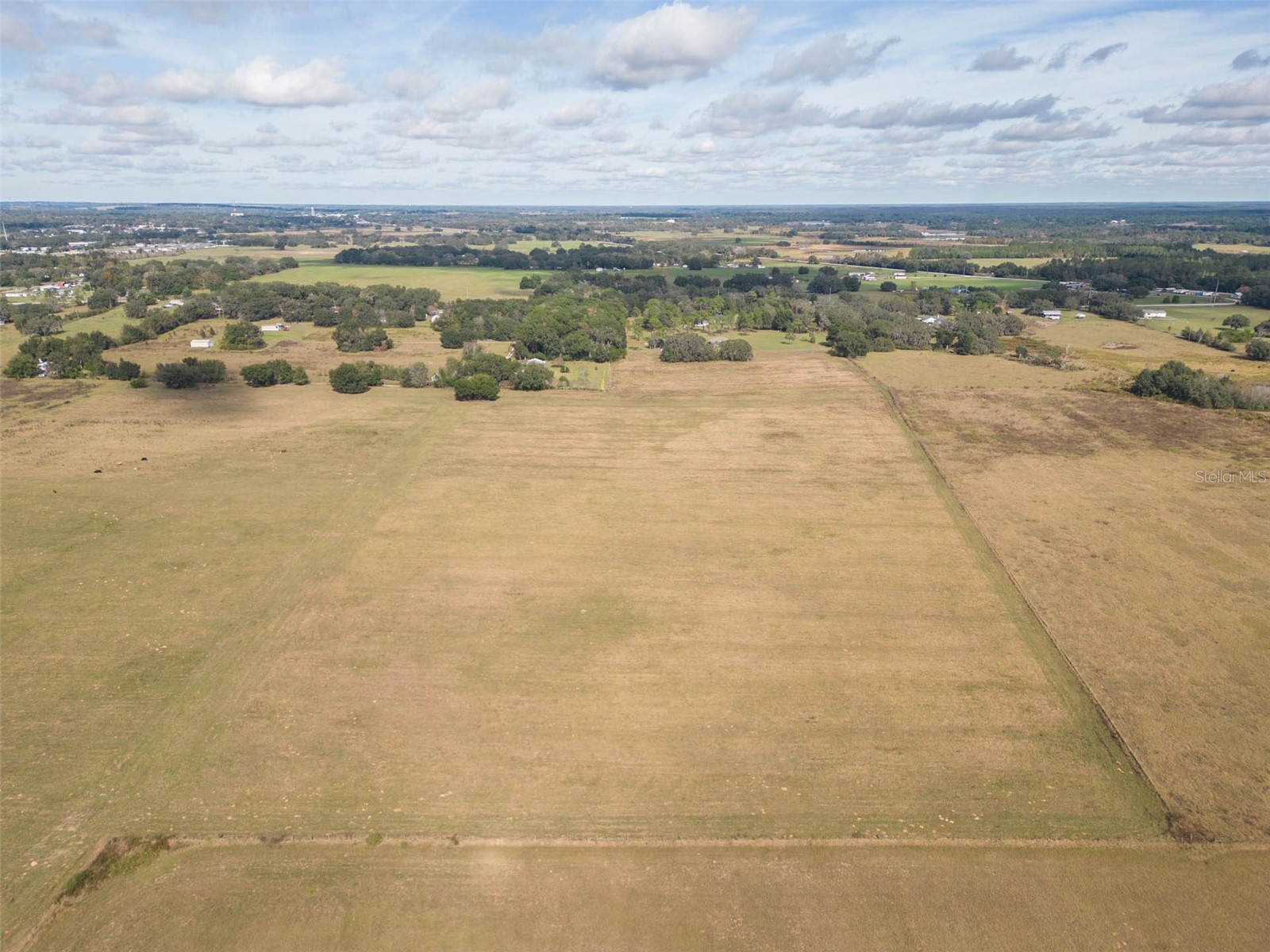 Bur Mac Road Dade City FL 33525 TB8462832 image9