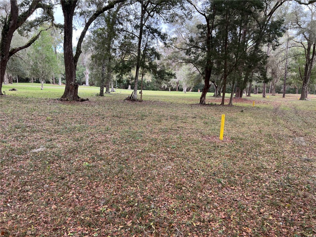 Burkitt Road Road Dunnellon FL 34432 - BLUE COVE/RAINBOW RIVER TB8390401 image10