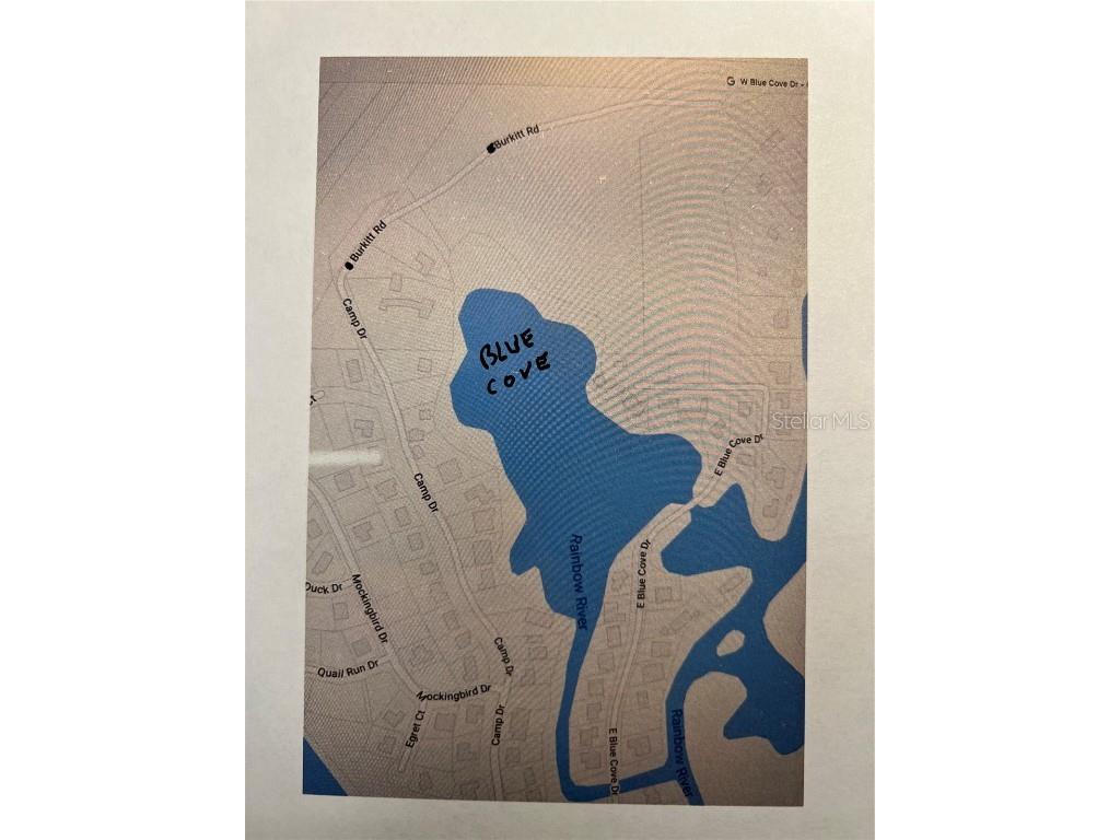 Burkitt Road Road Dunnellon FL 34432 - BLUE COVE/RAINBOW RIVER TB8390401 image4