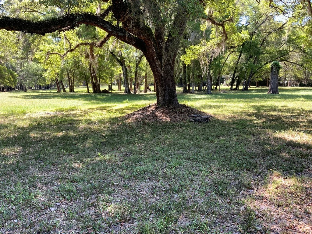 Burkitt Road Road Dunnellon FL 34432 - BLUE COVE/RAINBOW RIVER TB8390401 image8