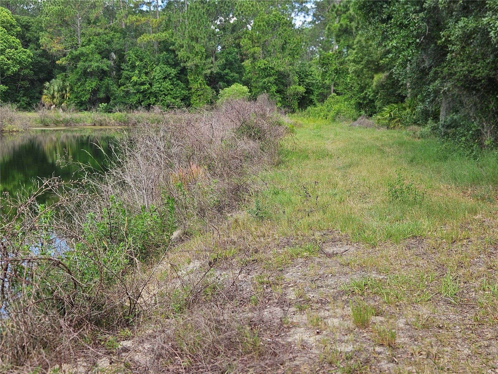 Burnsed Road Pierson FL 32180 R4911216 image2