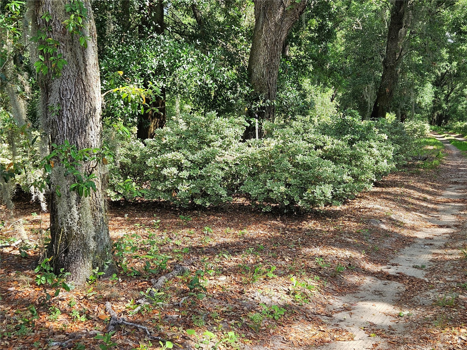Burnsed Road Pierson FL 32180 R4911216 image8