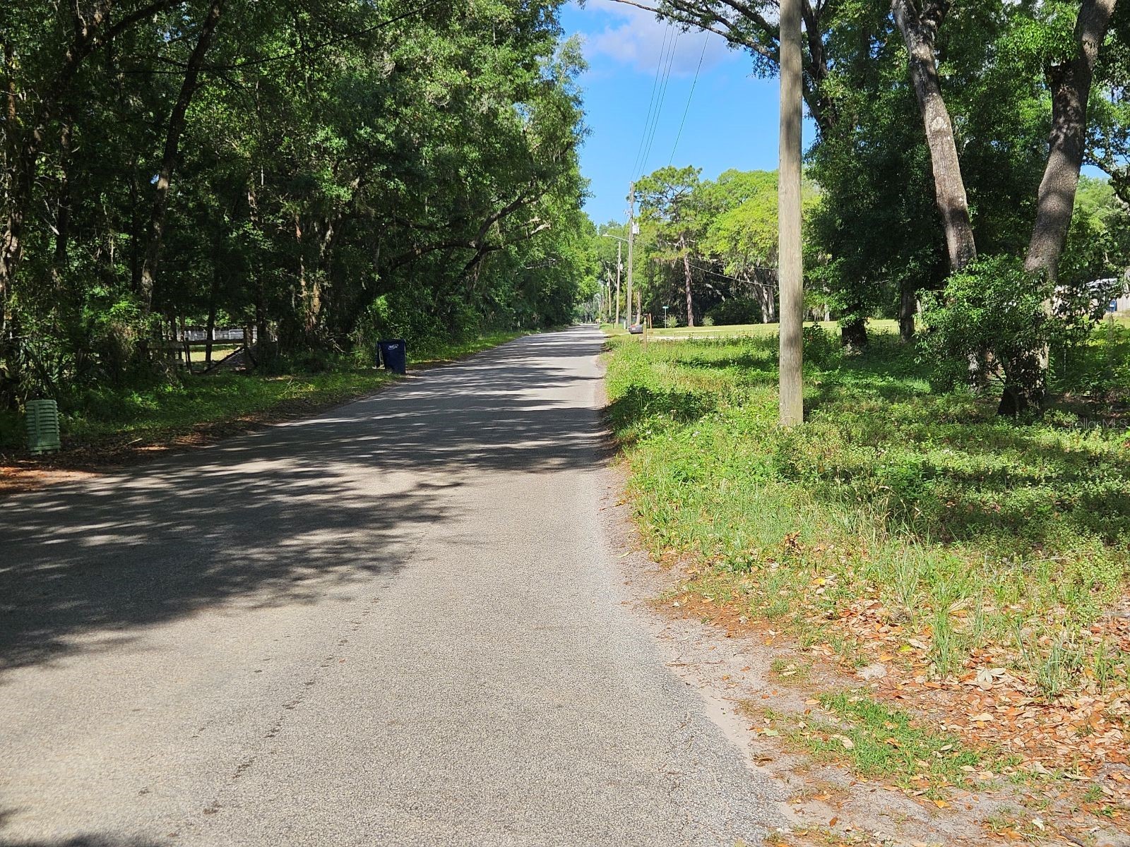 Burnsed Road Pierson FL 32180 R4911216 image9