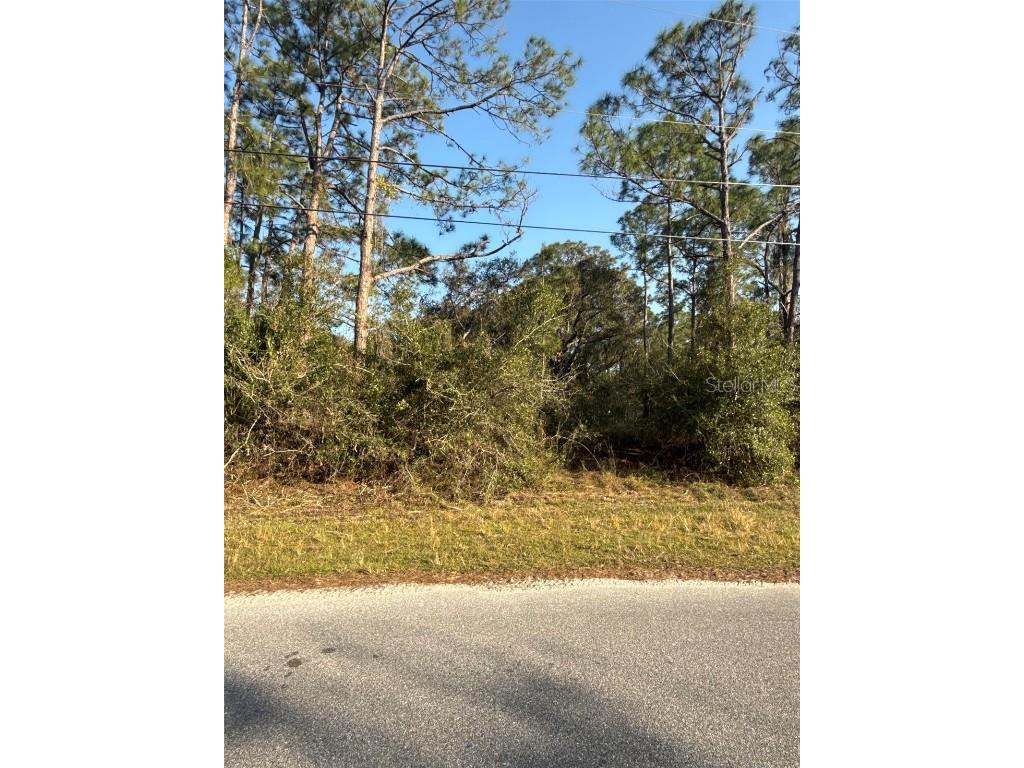 Burnside Street #LOT 13 North Port FL 34291 C7503064 image1