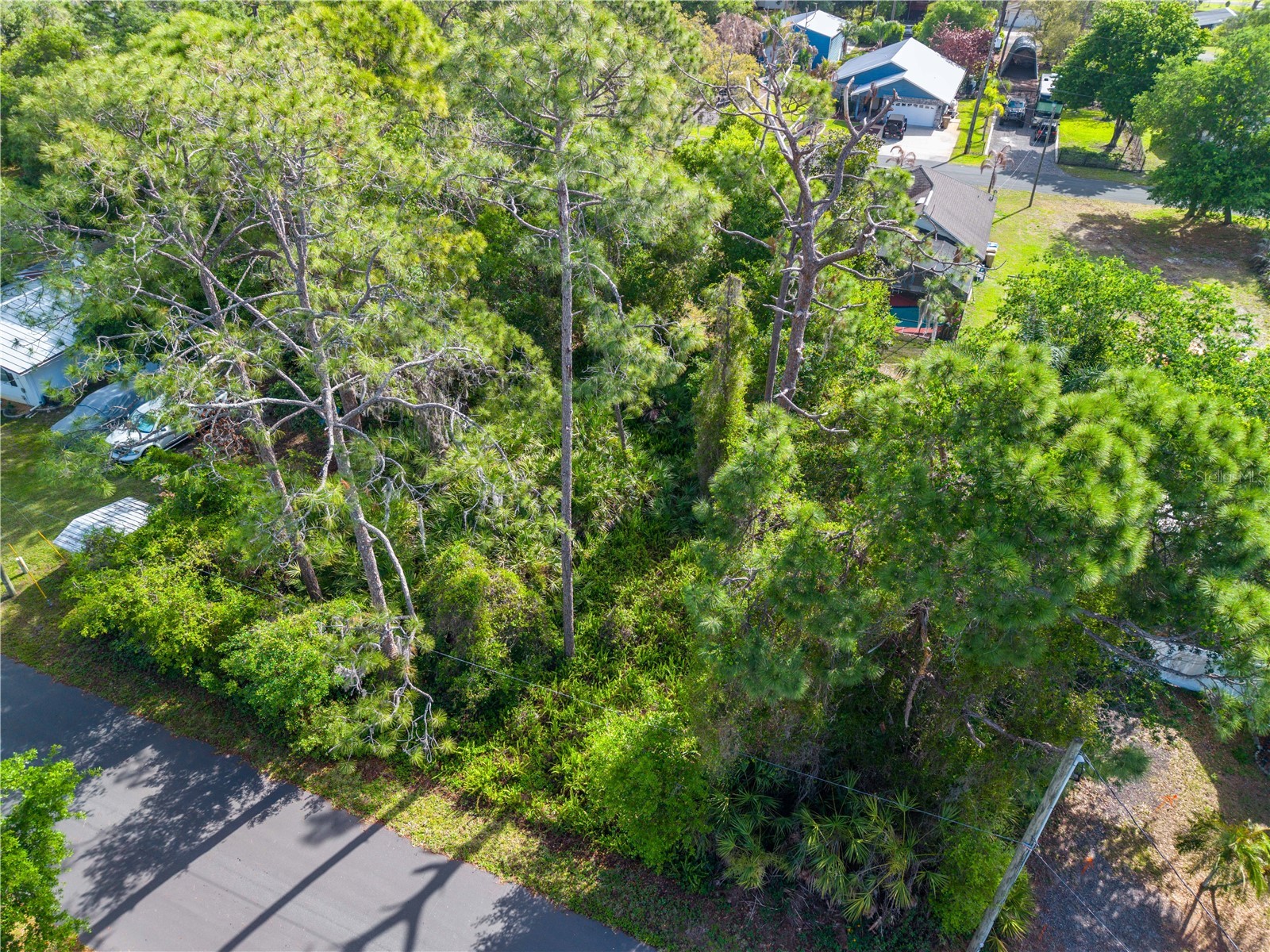 Burton Dr Saint Cloud FL 34771 S5147271 image11