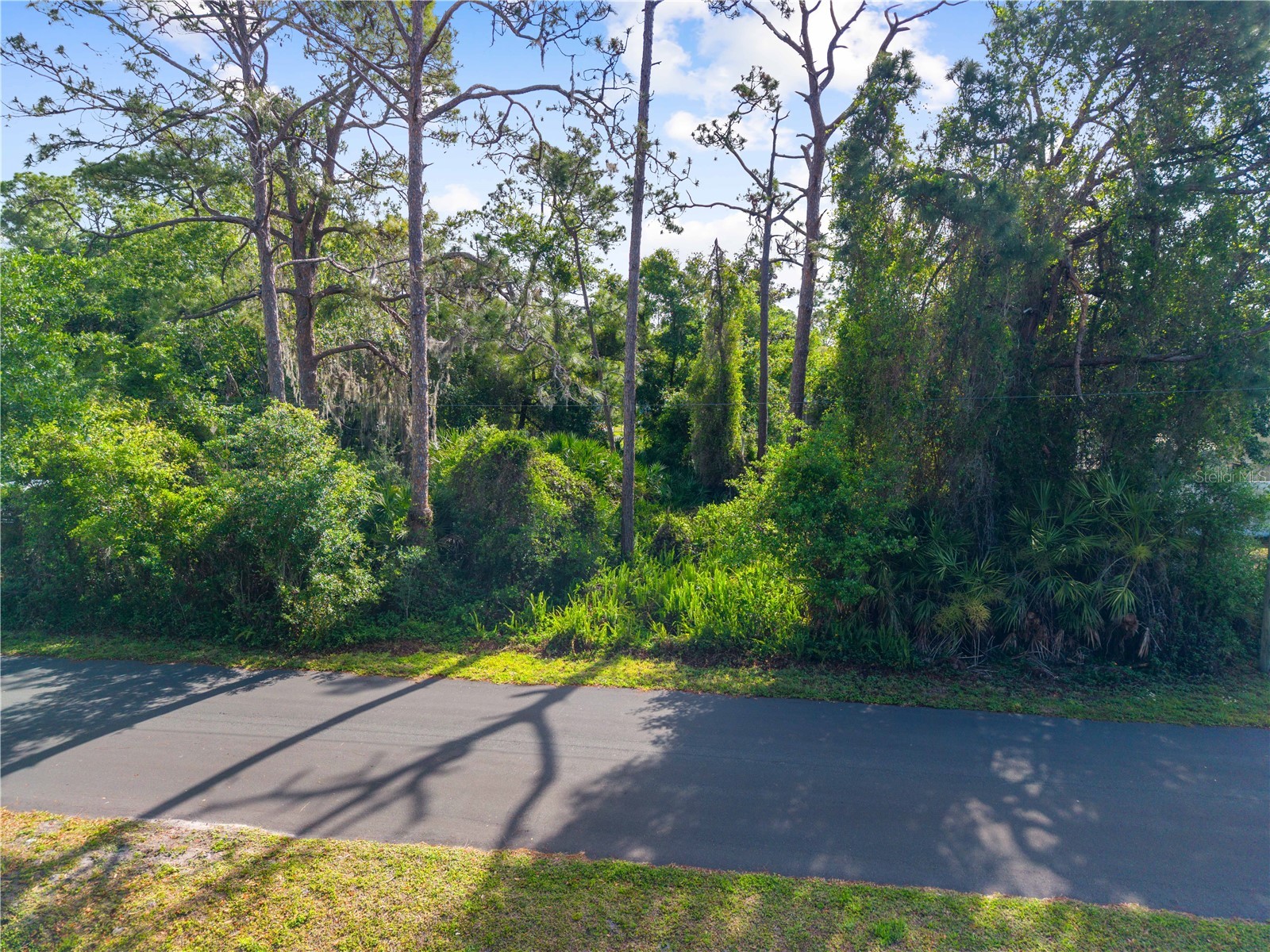 Burton Dr Saint Cloud FL 34771 S5147271 image4