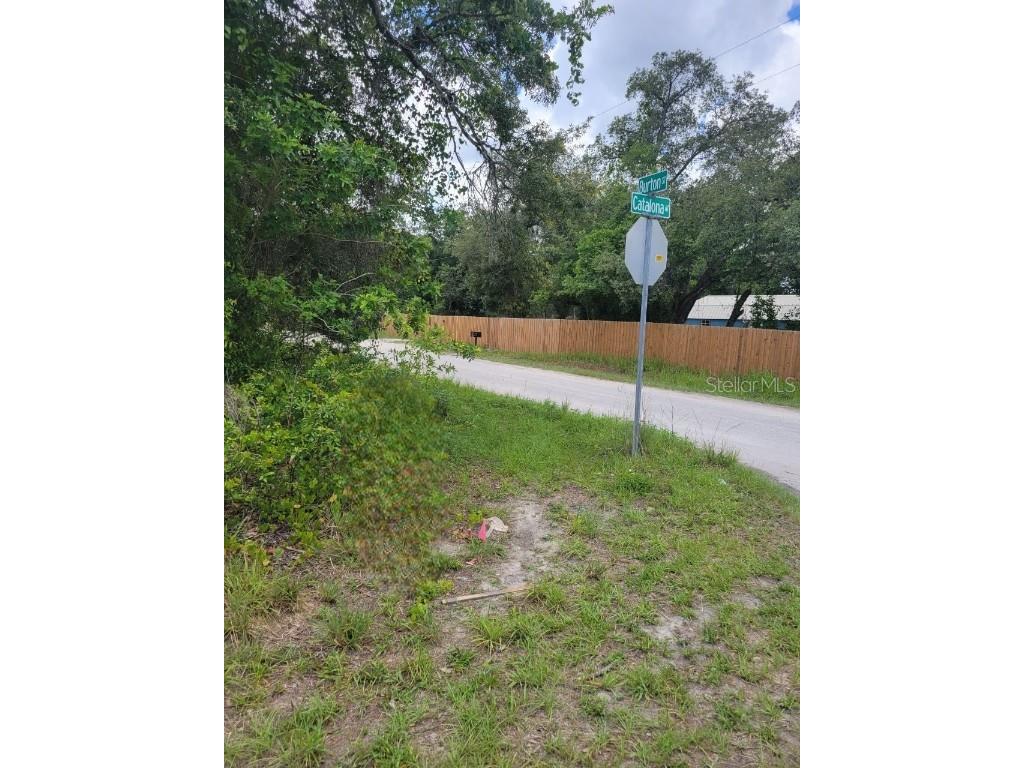 Burton Street New Port Richey FL 34654 T3450222 image1