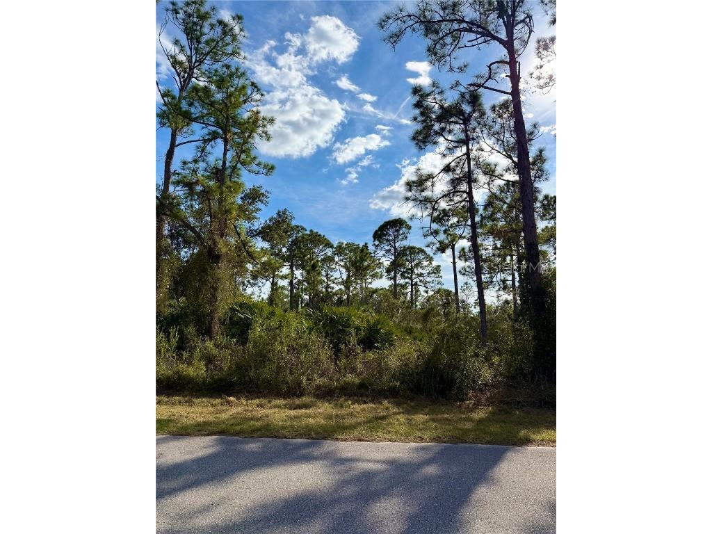 Burwin Avenue North Port FL 34291 A4675490 image1