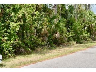 Bushnell Avenue North Port FL 34286 G5097812 image3