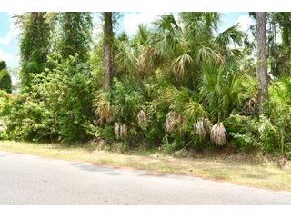 Bushnell Avenue North Port FL 34286 G5097812 image5