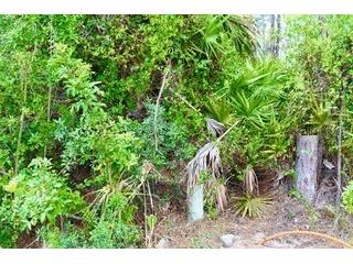 Bushnell Avenue North Port FL 34286 G5097812 image8