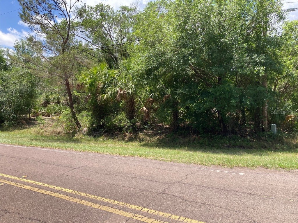 Butch Cassidy Trail And Wagonwheel Rd Wimauma FL 33598 A4568754 image1