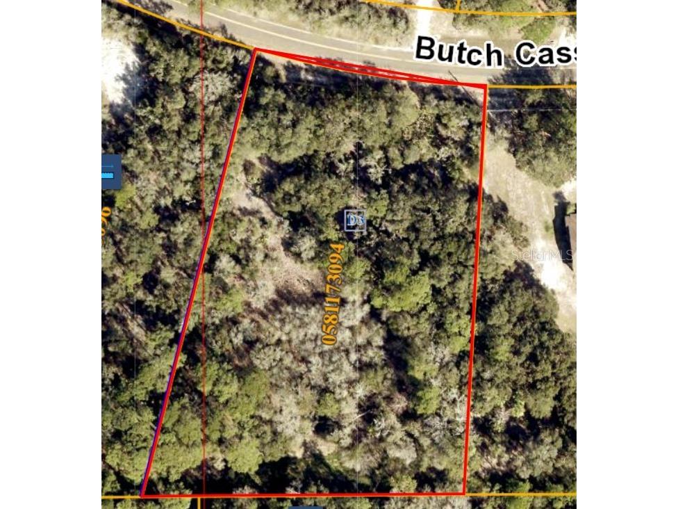 Butch Cassidy Trail Wimauma FL 33598 TB8387306 image2