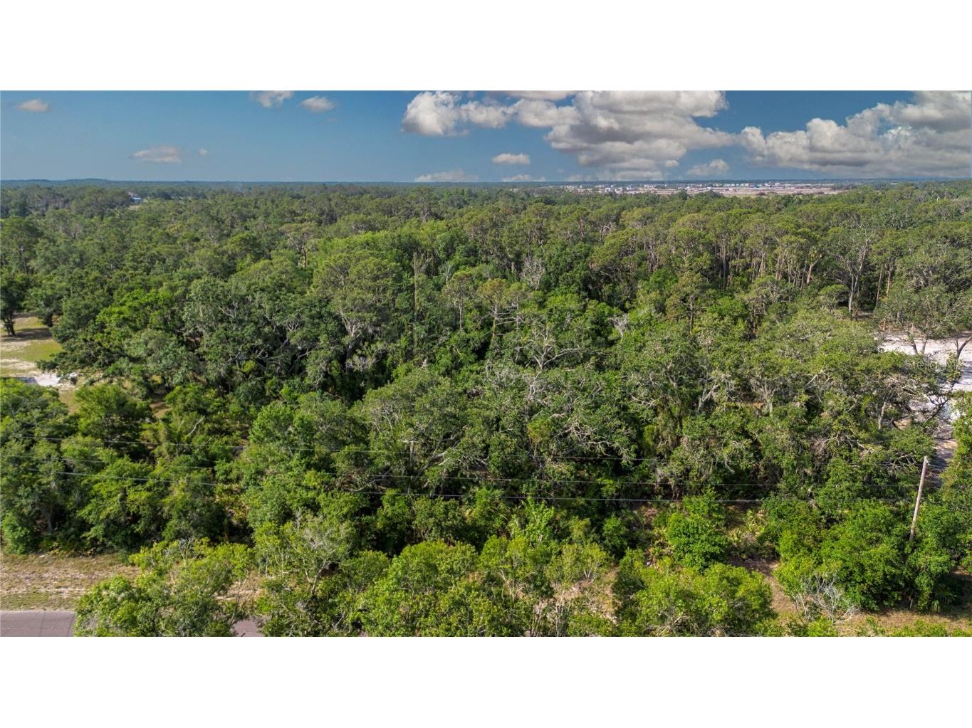 Butch Cassidy Trail Wimauma FL 33598 TB8387306 image3