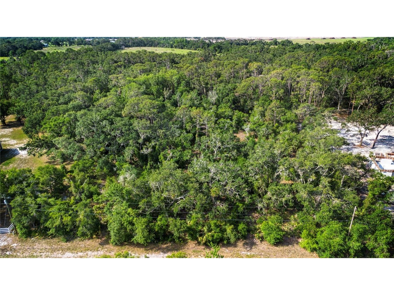 Butch Cassidy Trail Wimauma FL 33598 TB8387306 image4