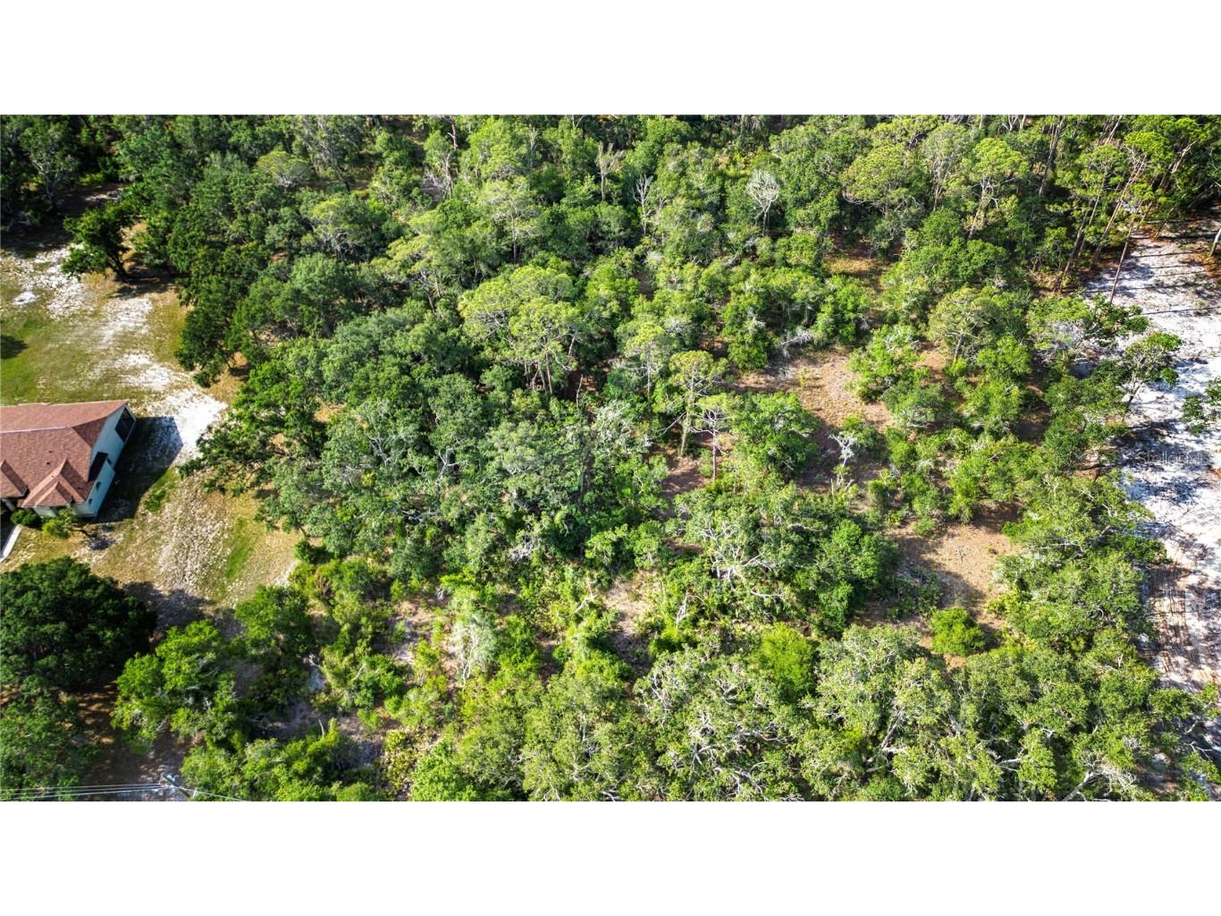 Butch Cassidy Trail Wimauma FL 33598 TB8387306 image9