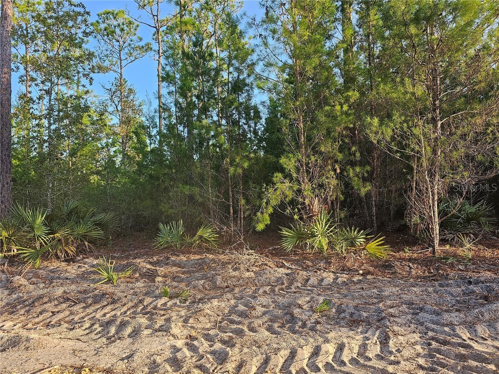 Butterbean Lane Eustis FL 32736 - LAKE NORRIS ST JOHN'S RIVER G5072580 image1