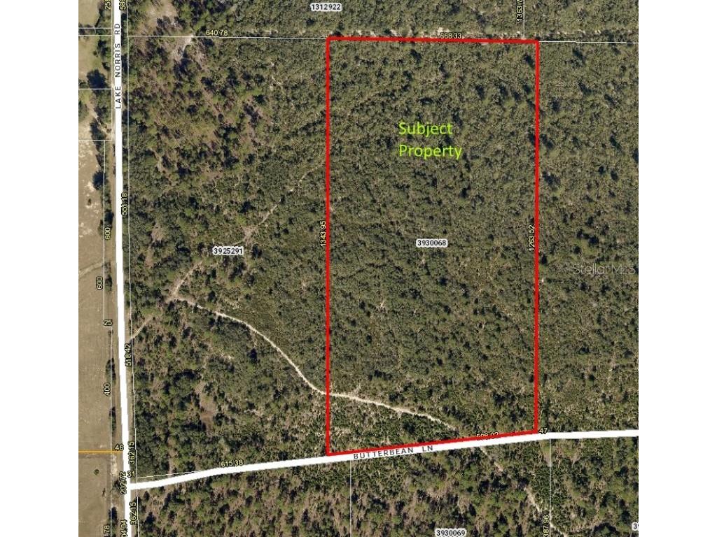Butterbean Lane Eustis FL 32736 - LAKE NORRIS BLACKWATER CREEK G5073096 image1